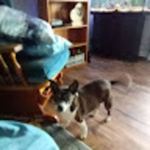 Meet your Posher, Tamara l